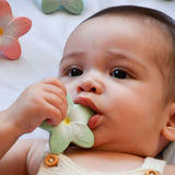 Newborn Gift Set 2 Teethers + 1 Mini Teether - Oli&Carol