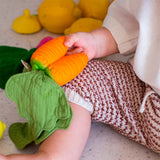 Cathy the Carrot Mini Doudou-Teether - Oli&Carol