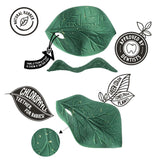 Chlorophyll Leaf Baby Teether - Oli&Carol