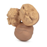 Nutty the Walnut Baby Teether - Oli&Carol