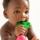 Pack Regalo Bebé 3 meses Root Power - Ramona the Radish Edition
