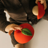 Apple Stacking Toy & Rattle Ball - Oli&Carol
