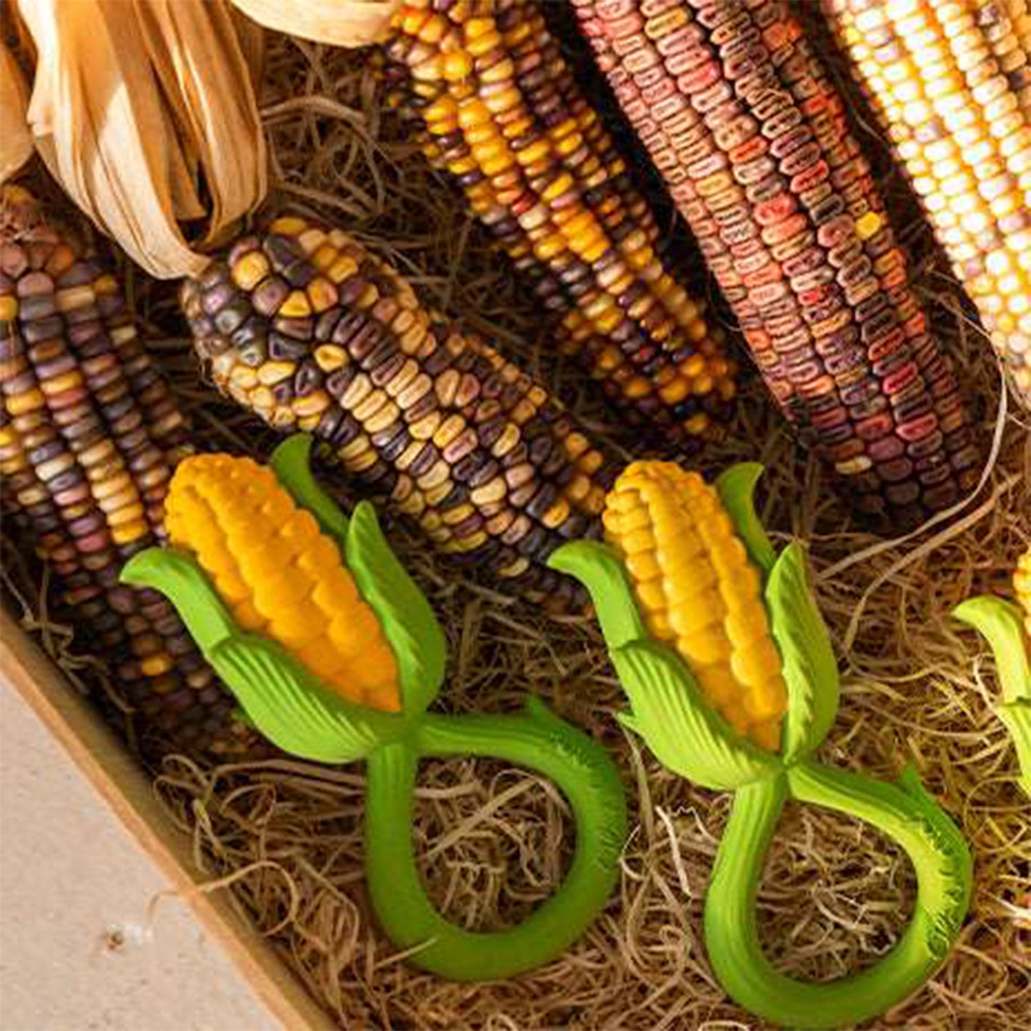 Corn Rattle Toy - Oli&Carol