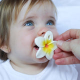 Hawaii the Flower Mini Baby Teether - Oli&Carol