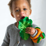 Kendall the Kale Baby Teether - Oli&Carol