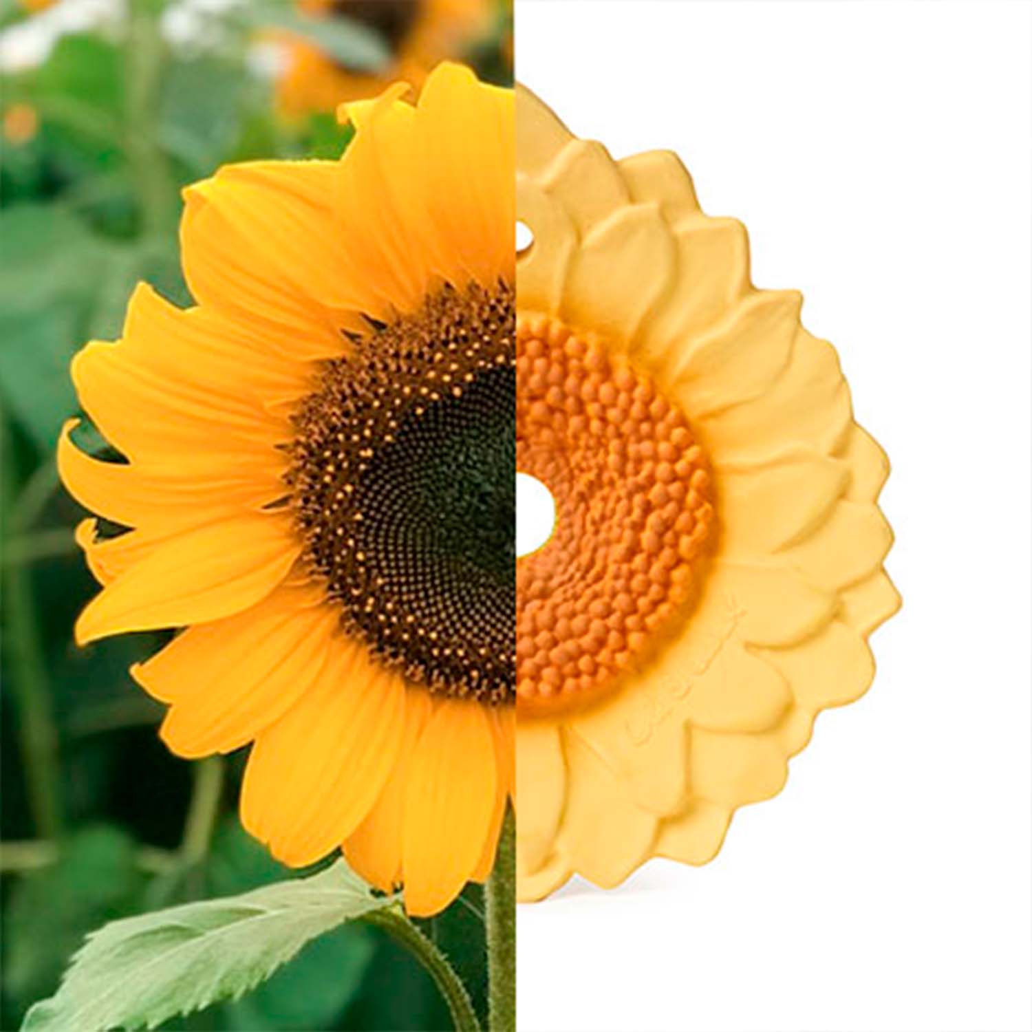 Sun the Sunflower Baby Teether - Oli&Carol