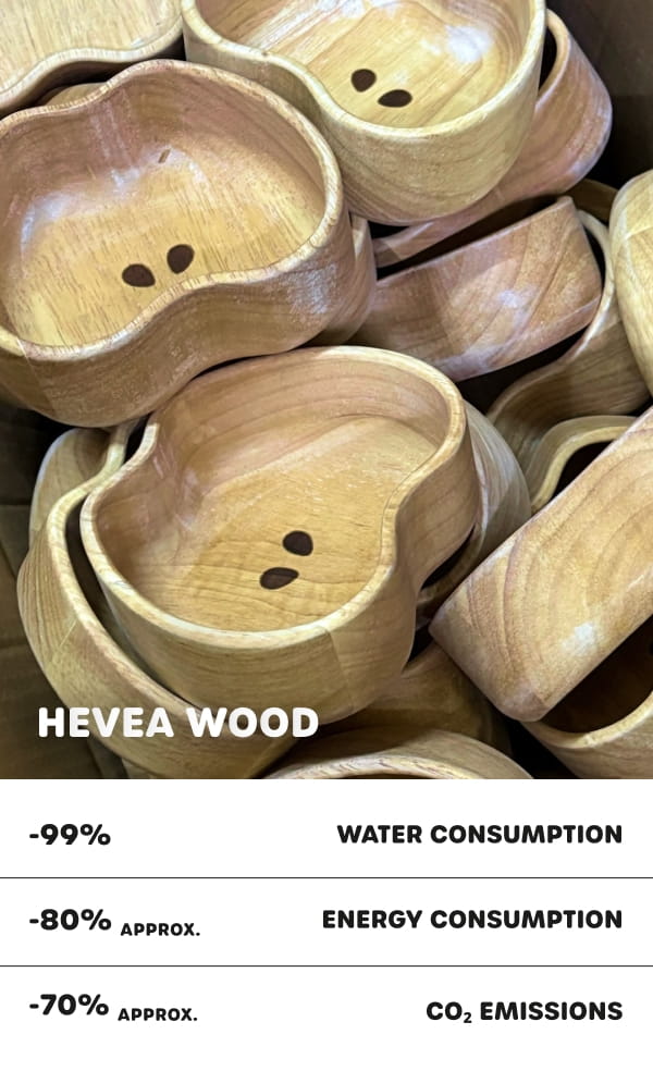 Immagine diapositiva