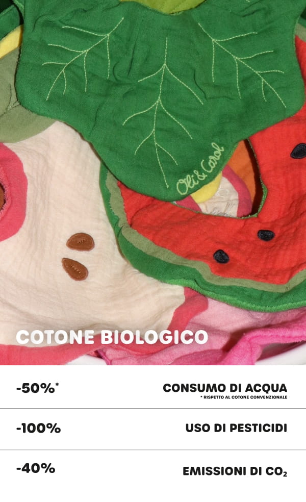 Immagine diapositiva