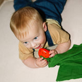 Sweetie the Strawberry Big Doudou