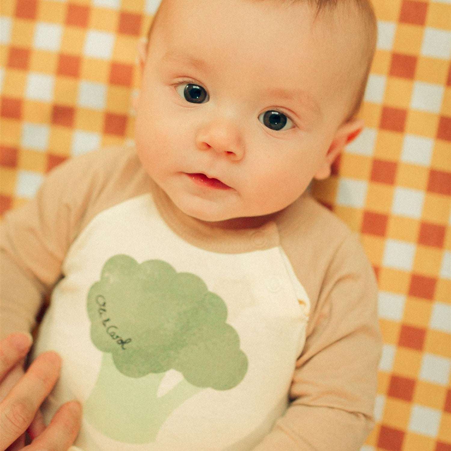 Broccoli Baby Body - Oli&Carol
