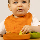 Cathy The Carrot Bib