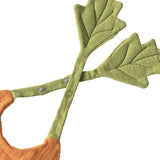 Cathy The Carrot Bib