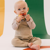 The Evolutive Teether