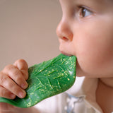 Chlorophyll Leaf Baby Teether - Oli&Carol