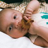 Pacifier Raw 2 Units Set