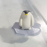 Penguin Bath Toy - Oli&Carol