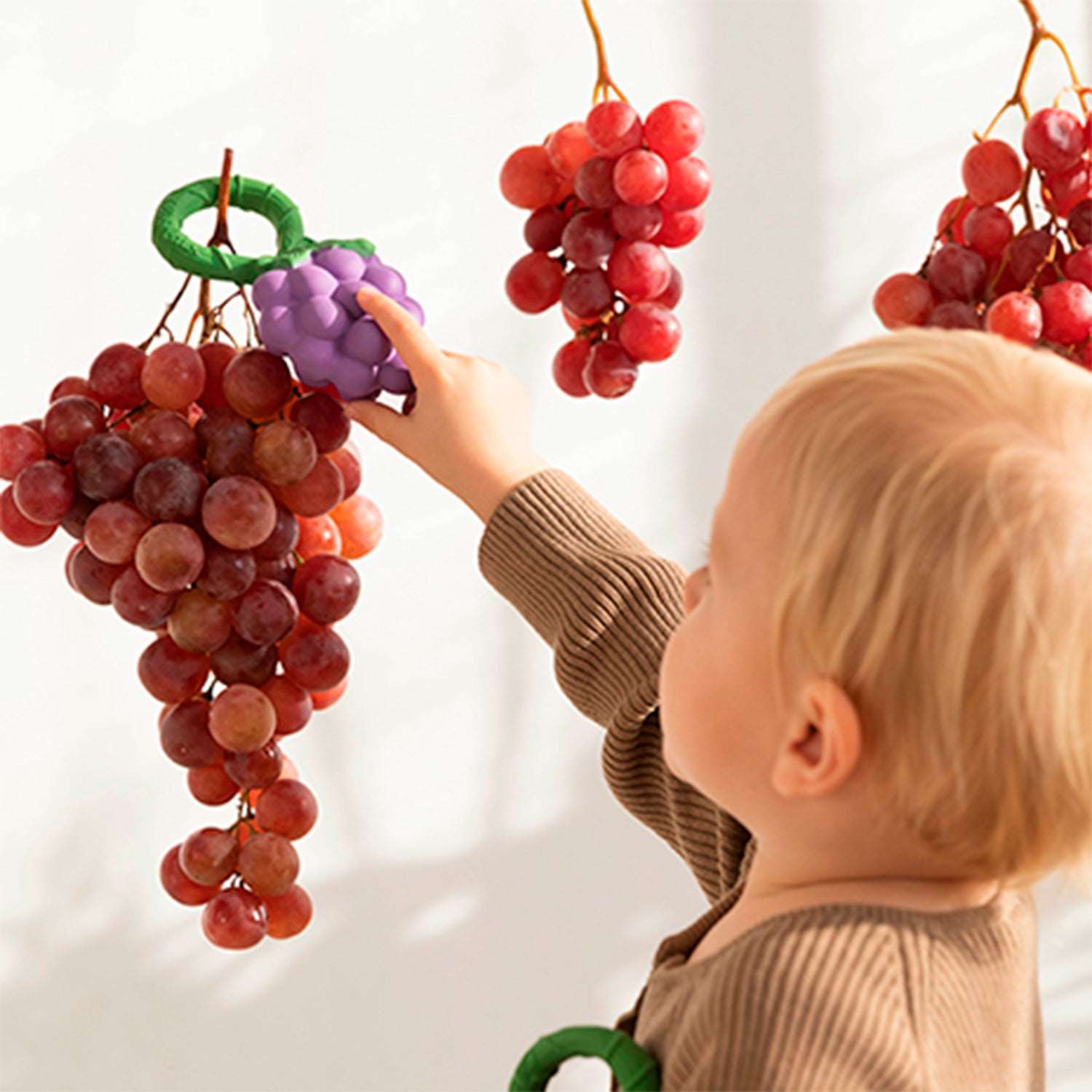 Grape Rattle Toy