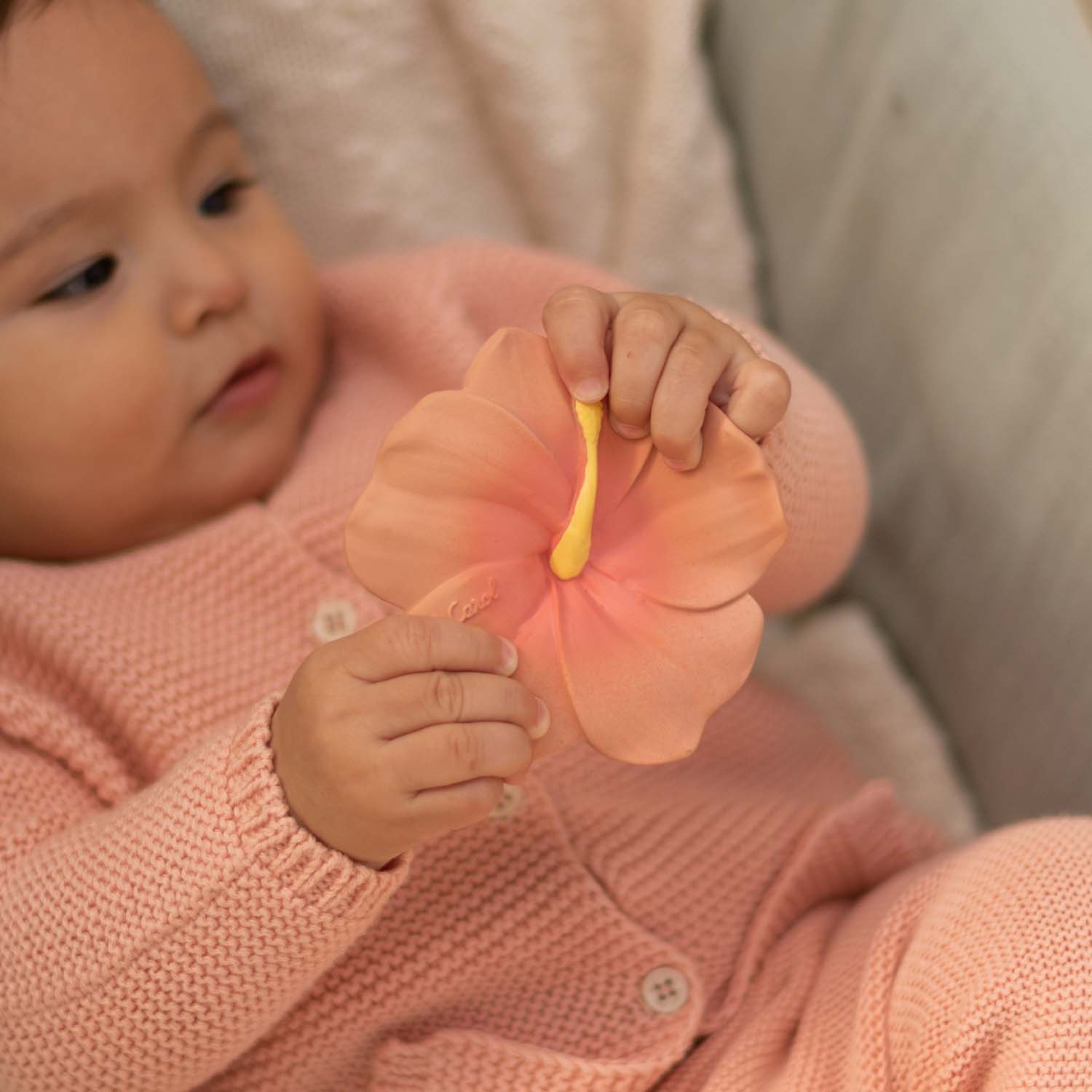 Edible store baby teethers