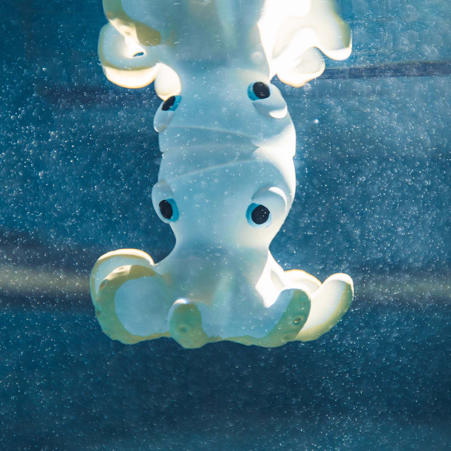Jouet de bain en caoutchouc naturel Play & Explore Octopus