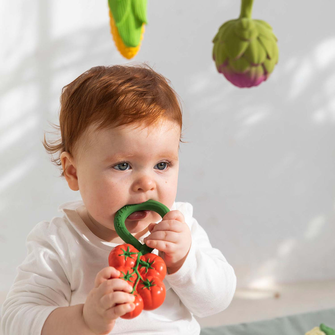 Tomato Rattle Toy | Oli&Carol