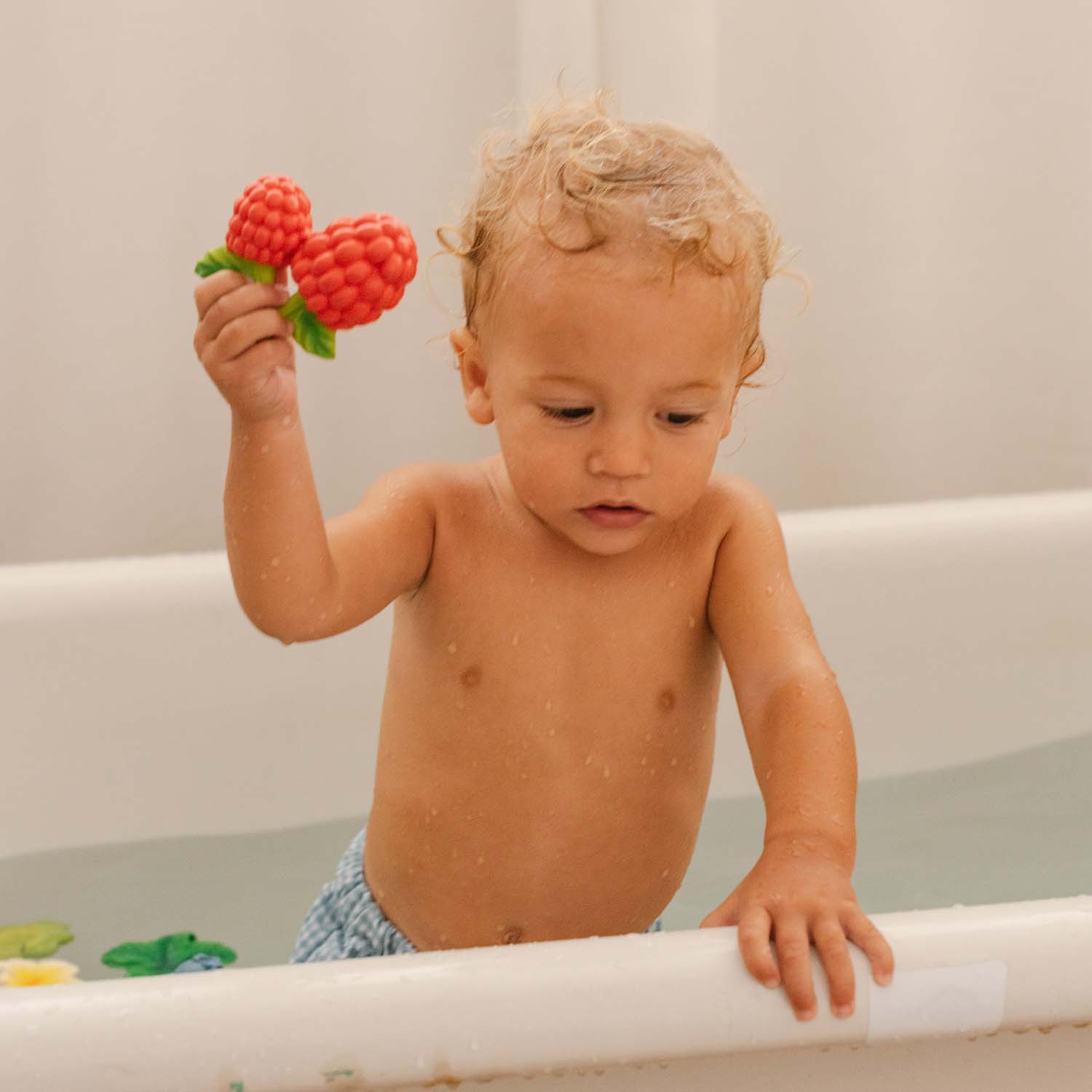 Raspberry on sale teething toy